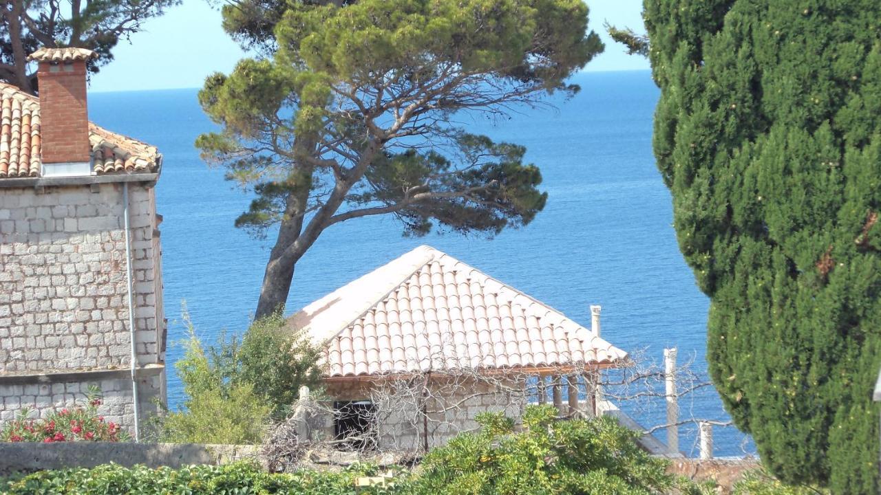 Villa Elly Dubrovnik Exteriör bild
